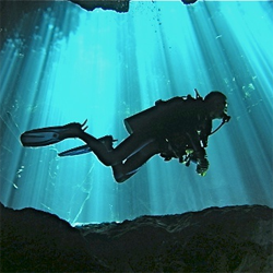 Diving / Scuba